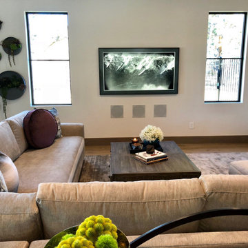TV Rooms and Installs