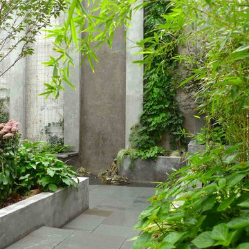 Modern Brooklyn Garden