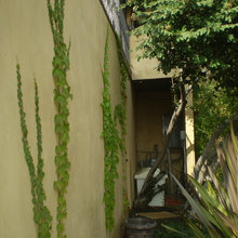 garage stucco