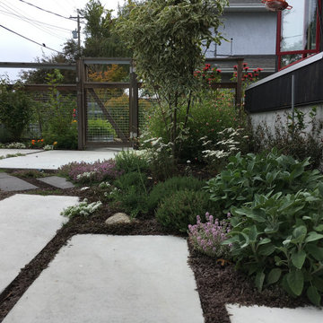 Crescent Food and Medicine Garden