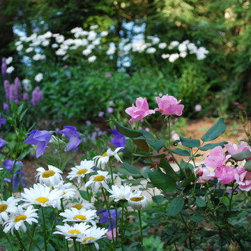 New England Cottage Garden