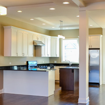 Wicker Park Two-Flat Single Family Gut Rehab - Kitchen