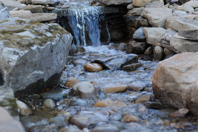 Inspiration for a traditional landscaping in Other.