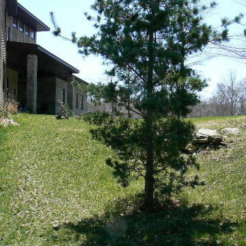Front Walkway - Before - just lawn