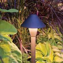 Backyard Lighting