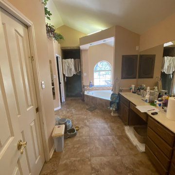 Master Bath Remodel Video Before Pic