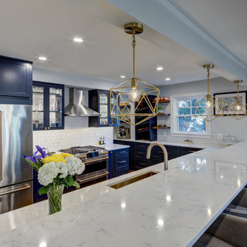 Silver Spring | Crafty Pet Friendly Kitchen and Living Room Remodel