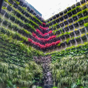 POLANCO