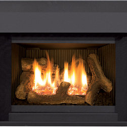 Enviro E20 Gas Fireplace Insert - Products