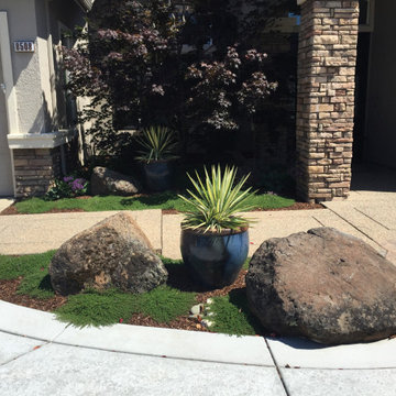 Roseville Circular Driveway & Landscape