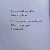 Jodi Paulsen Long's photo