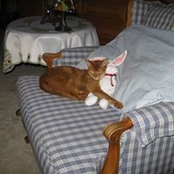 Melanie Springer's photo
