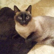 Cindy Funk's photo