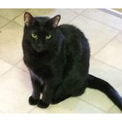 Carole Savage's photo