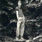 Lisa Nevling's photo