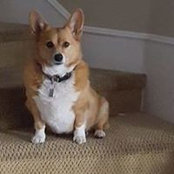 Donna Brossette's photo