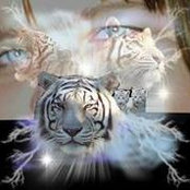 Diana Cedeno's photo
