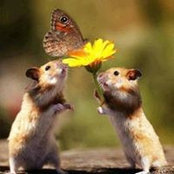 Lori Price's photo