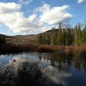 Claudia Wheeler's photo