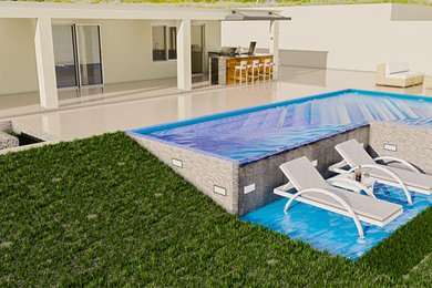 Mid-sized minimalist backyard l-shaped infinity pool photo in Orlando