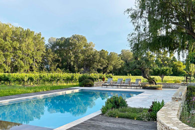 Exemple d'un grand piscine avec aménagement paysager nature rectangle.
