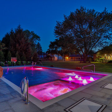 Arlington Heights, IL Swimming Pool and Hot Tub with Jump Rock