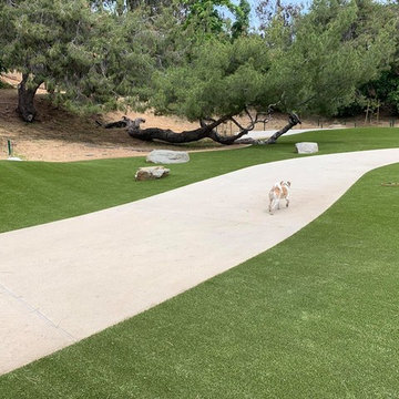Eagle Rock Dog Park