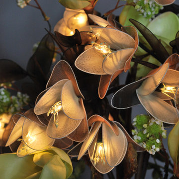 Stars Fell in Alabama - Green Magnolia Tree in Kiri Wood