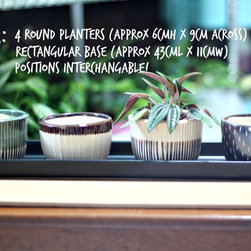 Teachers Day Specials - Indoor Pots And Planters
