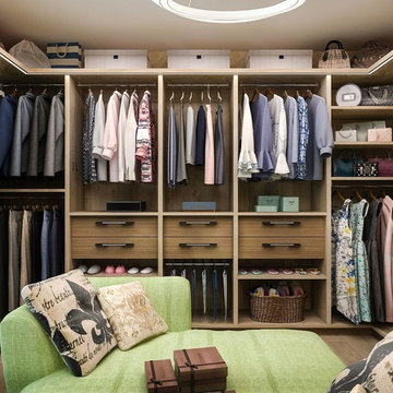 Transitional Closet