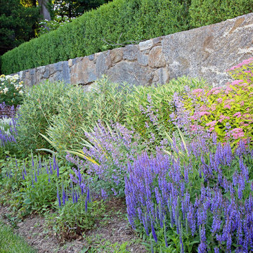 Walled Perennial Garden and Privacy hedge