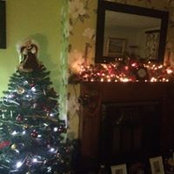 Hannah Fleming's photo