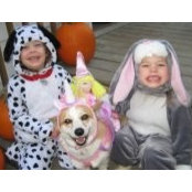 Kristy Johnson's photo