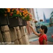 Photo de Jing Wang