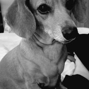 Foto von sophiaken
