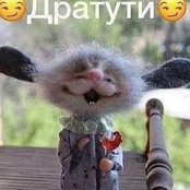 Photo de Alina