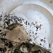 Rachel Bond Ceramics's photo