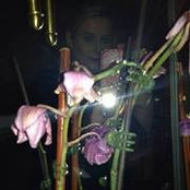 Photo de Heidi Longman