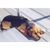 Celia Schmidt's photo