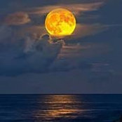 Myca Brown's photo