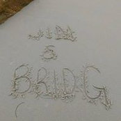 Bridget Peroni's photo