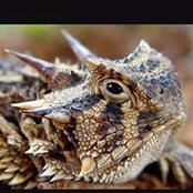 Ellen Schultz's photo