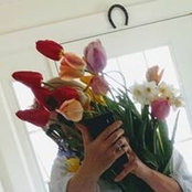 Sarah Traas's photo