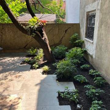 Modern Urban Shade Garden