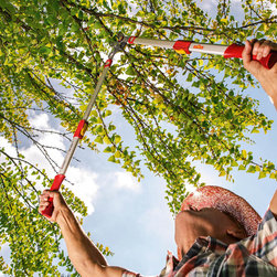 WOLF-Garten Garden Tools - Loppers - Pruning Tools