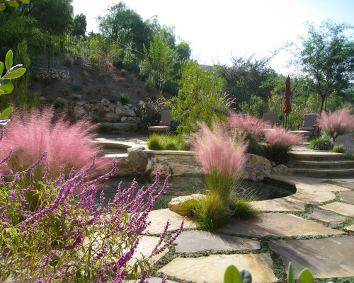 Ornamental Grass Border Houzz