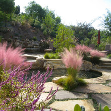 McBride Garden