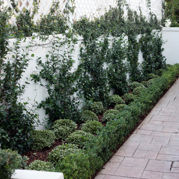 Romantic Garden in the Pacific Palisades, CA