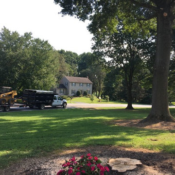 Parkesburg Tree Removal