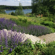 Fråga experten: Hur odlar man på bästa sätt i Stockholms skärgård?